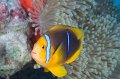 Bora Bora 2011-19